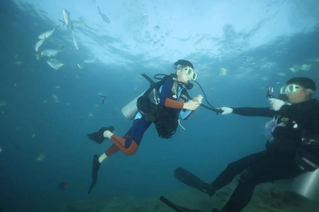 虫虫助手下载